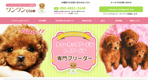 東京でおすすめのトイプードルのブリーダー７選 優良犬舎の口コミや評価を紹介 プードルのいるくらし