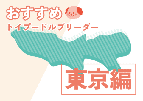 東京のトイプードルブリーダー 基本情報やおすすめポイントをご紹介 プードルのいるくらし