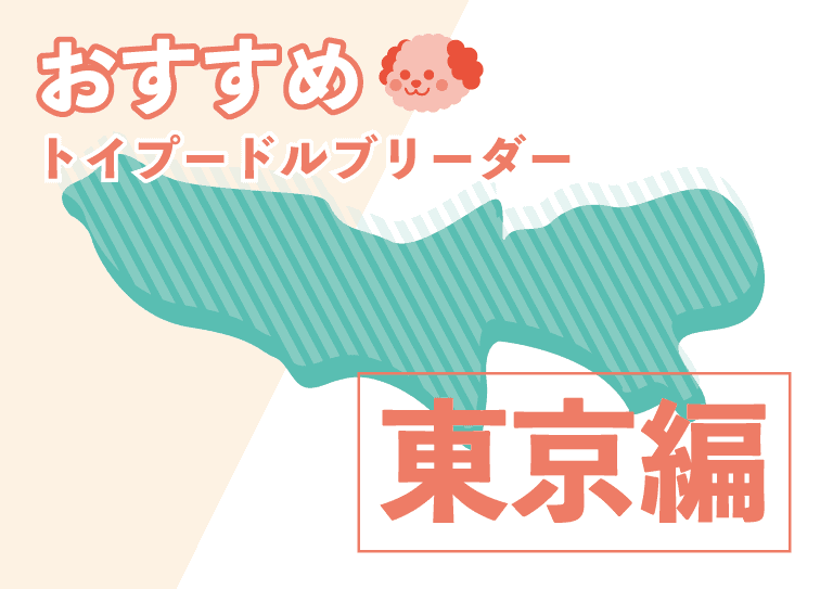 東京でおすすめのトイプードルのブリーダー７選 優良犬舎の口コミや評価を紹介 プードルのいるくらし
