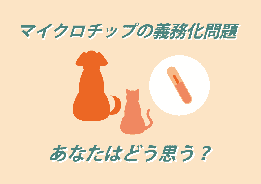犬猫のマイクロチップ義務化問題 デメリットや埋め込むと出来ることを徹底解説 プードルのいるくらし